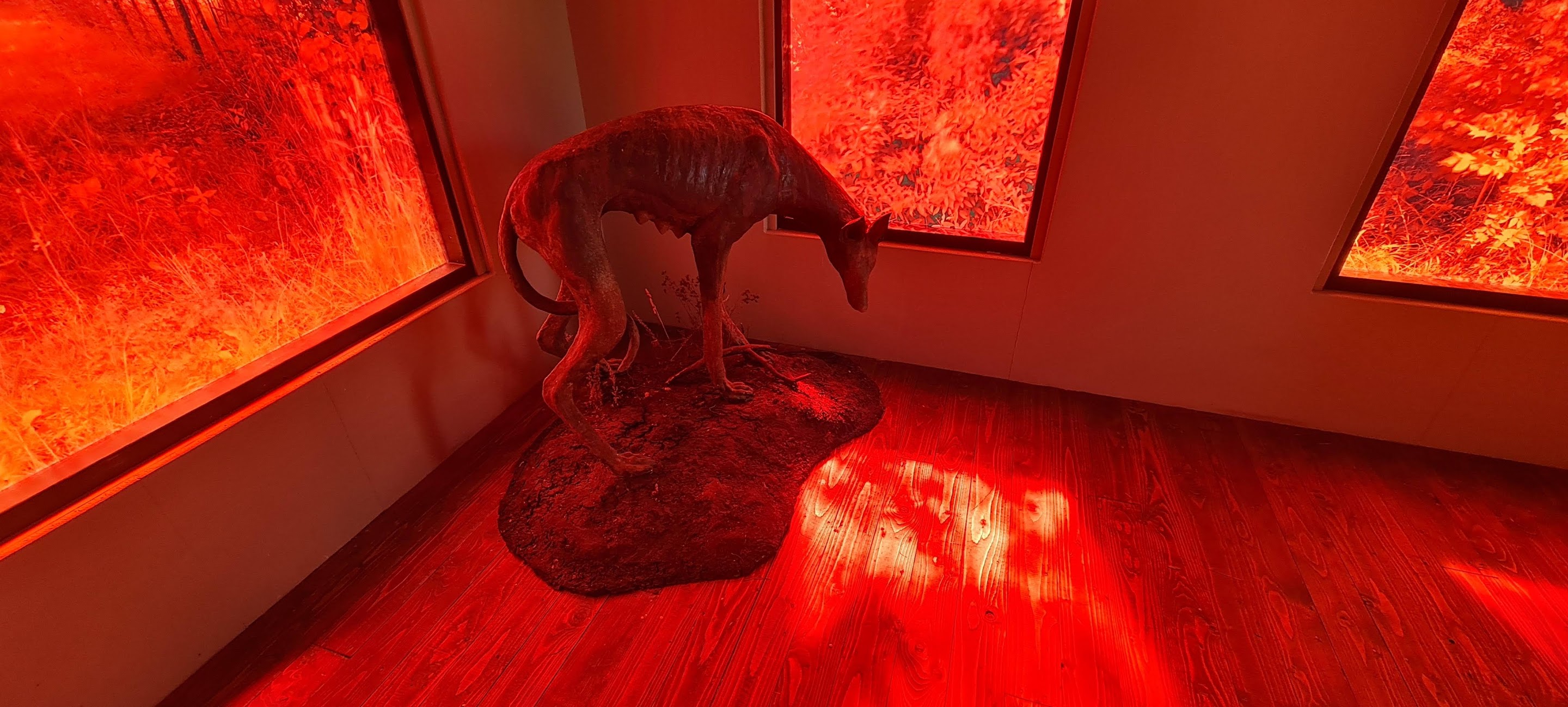 Alma Löv Museum of Unexp. Art