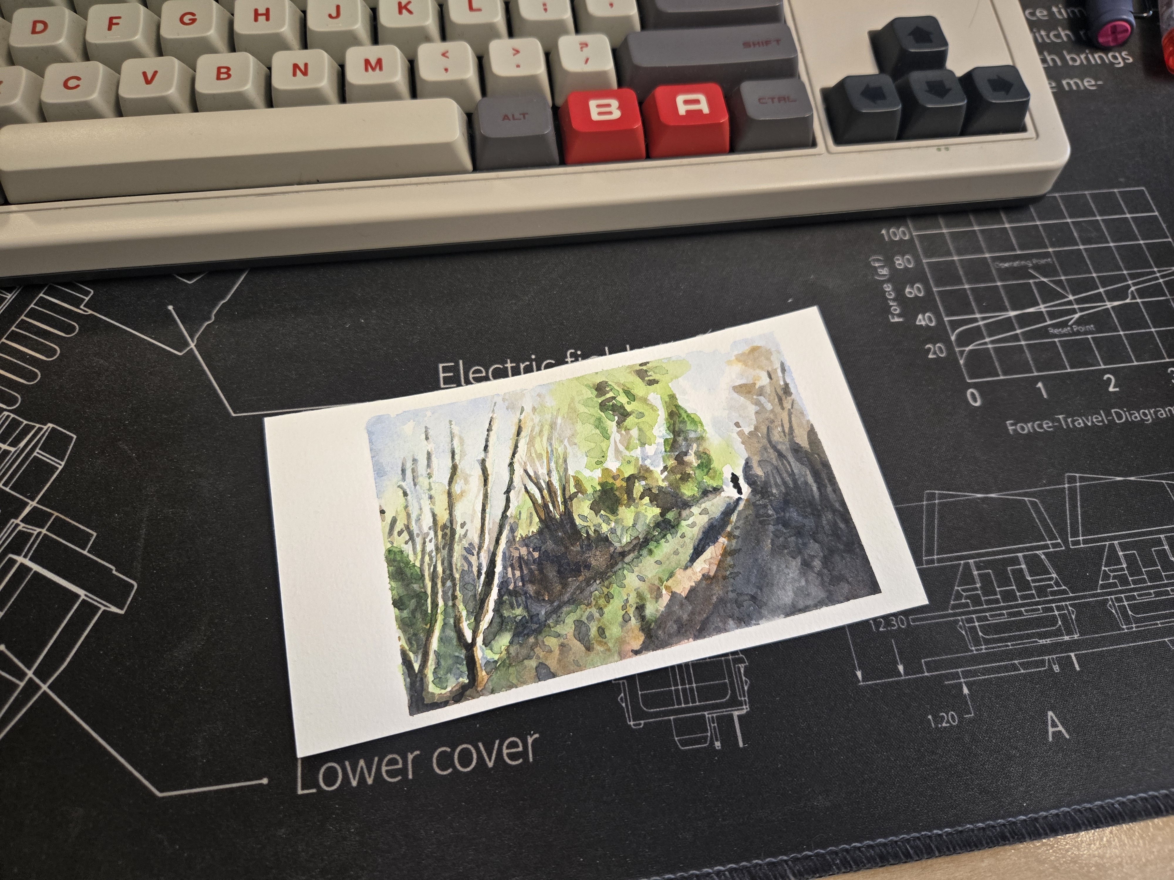 Watercolor first attempt